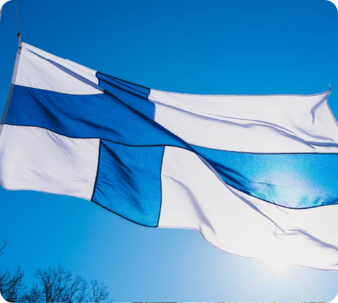 Identify Visa Pathway Type & Qualification